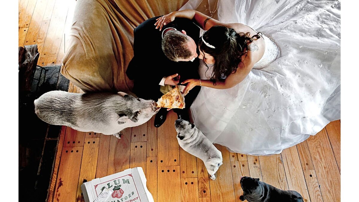 worldsbestweddingphotos.com