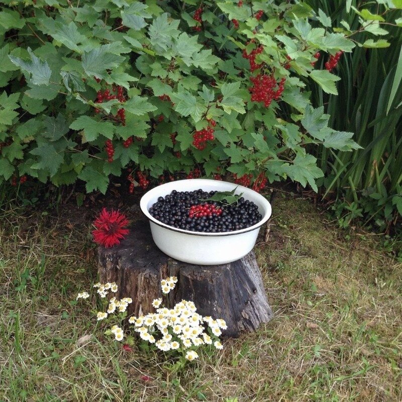 Фото https://www.instagram.com/p/BllO9RNngDT/