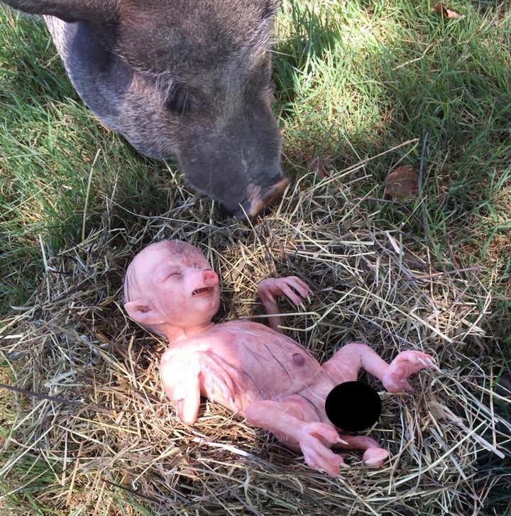 Еще одно фото, сопровождавшее сообщение из Приморья 