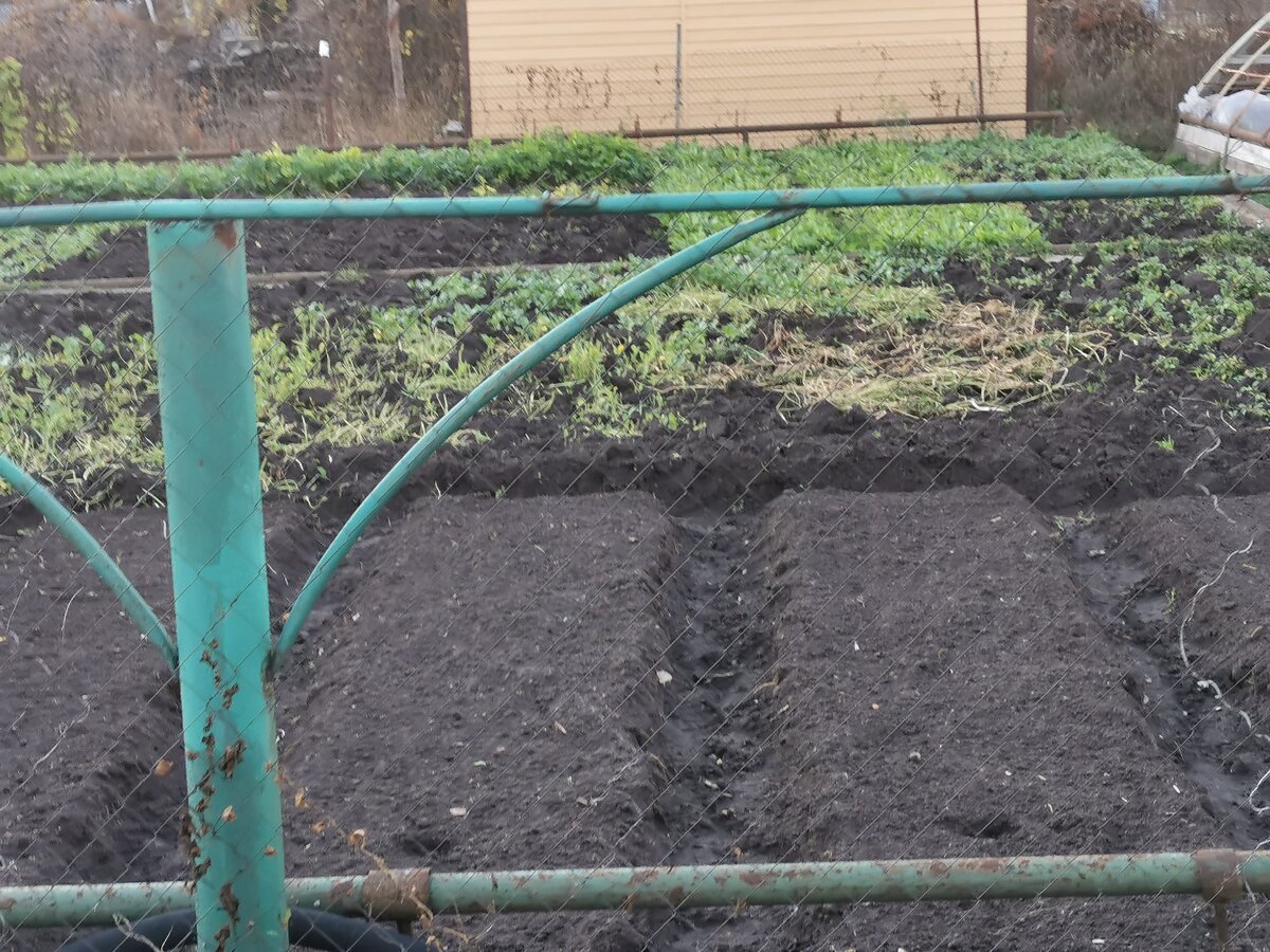 Идеальный деревенский огородик.