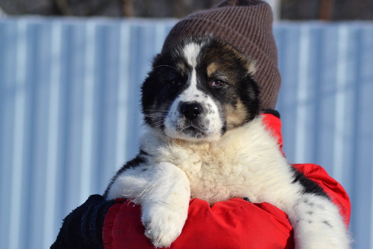 фото из личного архива