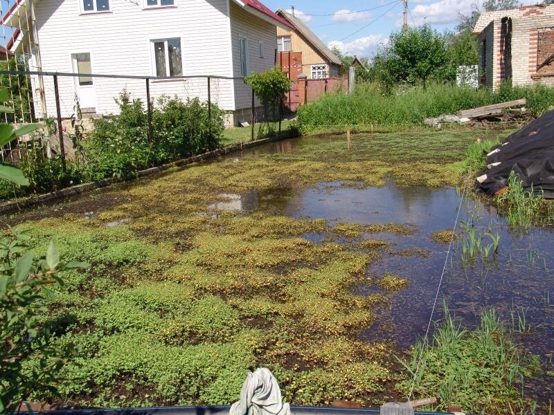 Можно ли пить воду из колодца