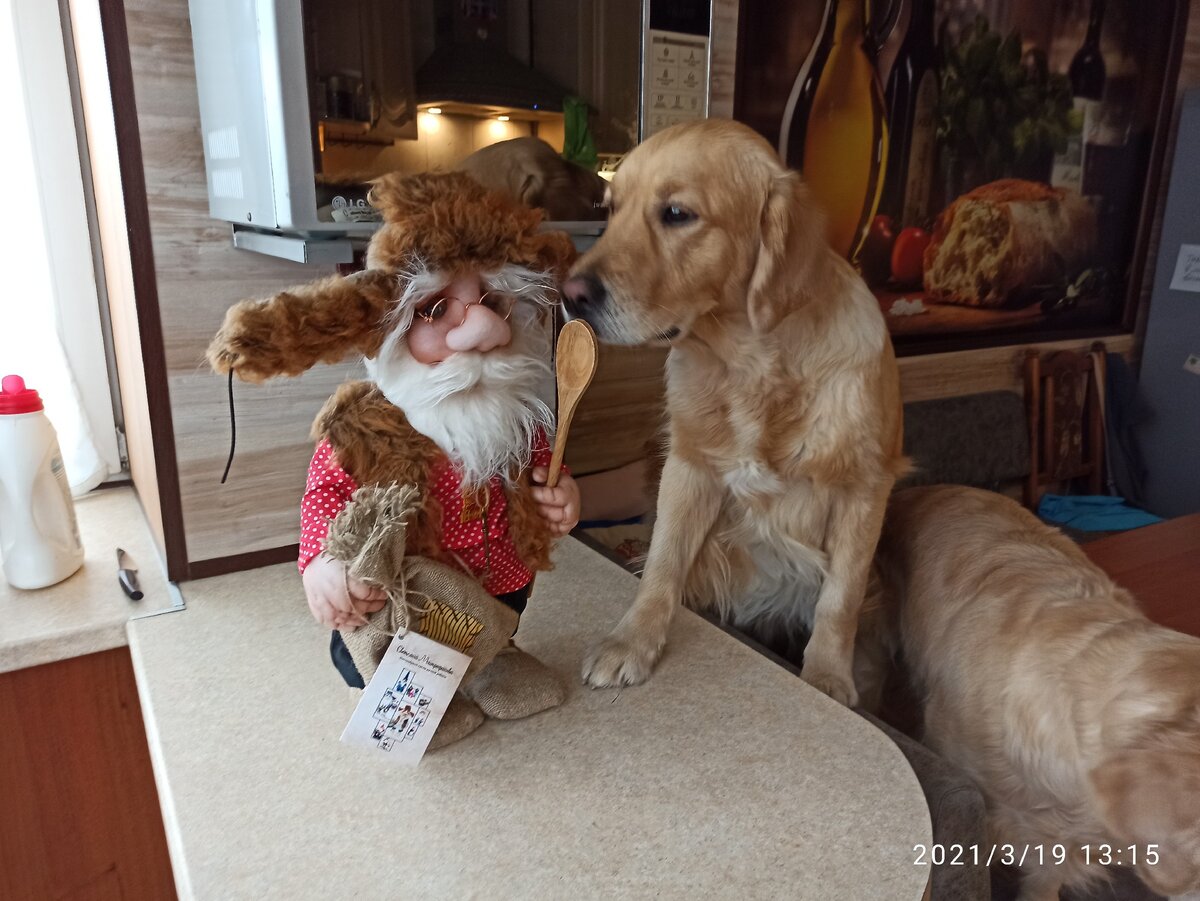 Ляля выясняет, что борода домового пахнет грибами