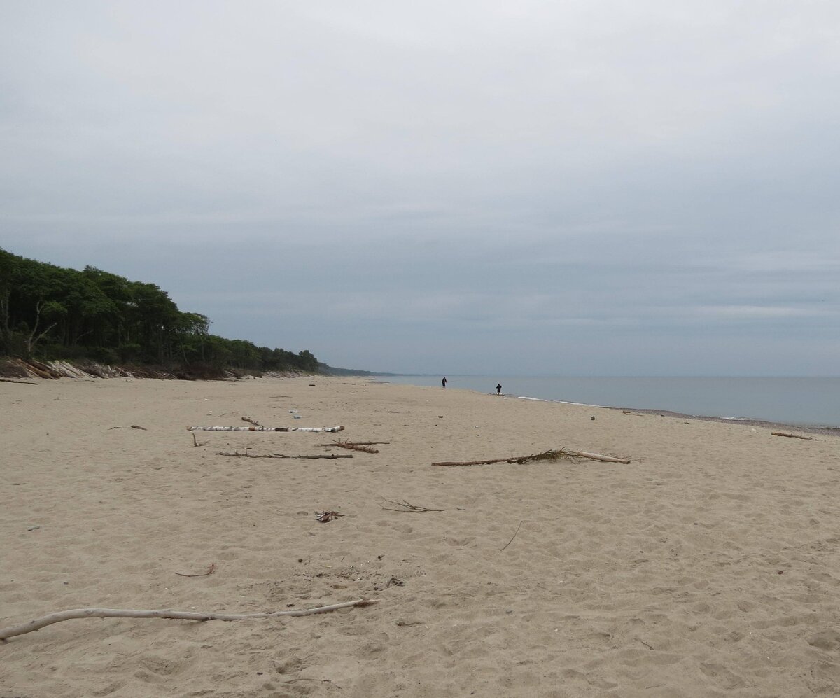 Отдых на Балтийском море. Что нужно знать туристу, приезжающему в  Калининградскую область. | Мой дом - Калининград | Дзен