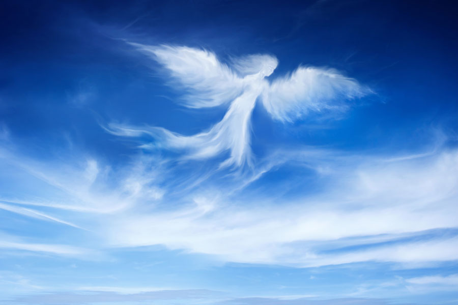 Фотографии из свободного доступа.