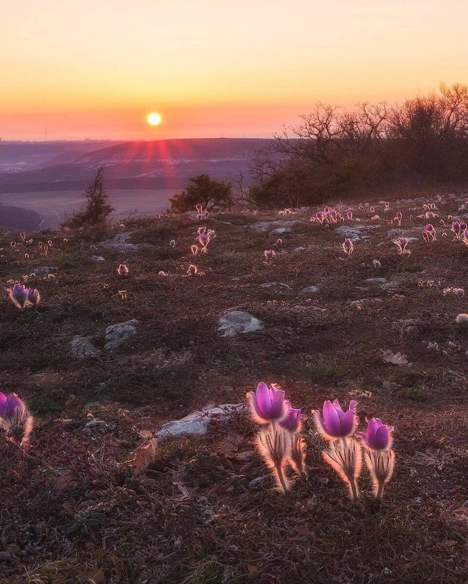 Весенний Крым — рай для фотографов @katrin_and_sea