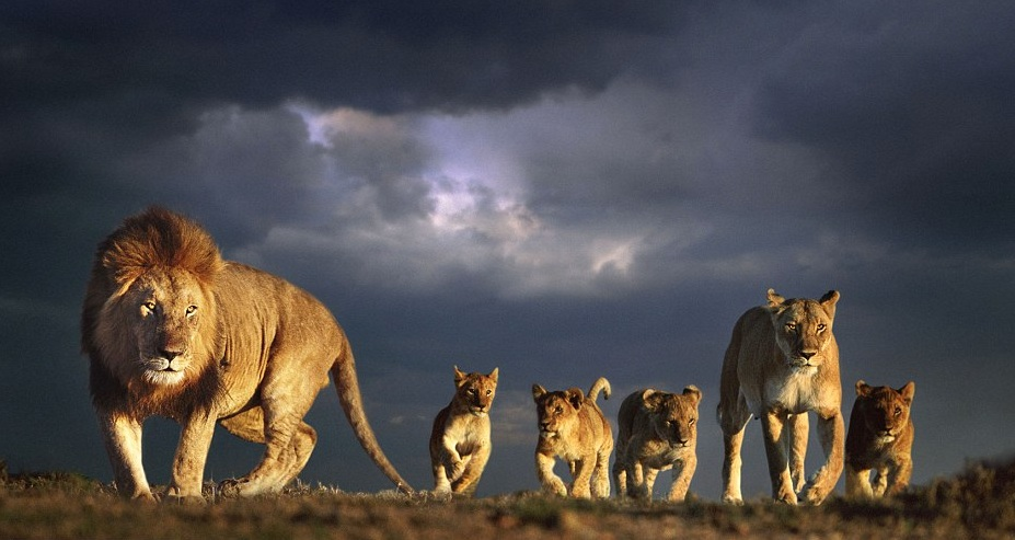 Фото hirokama.ru