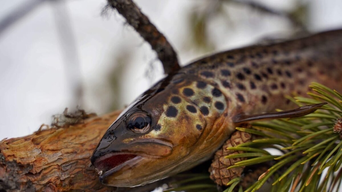 Фото с прошлой недели