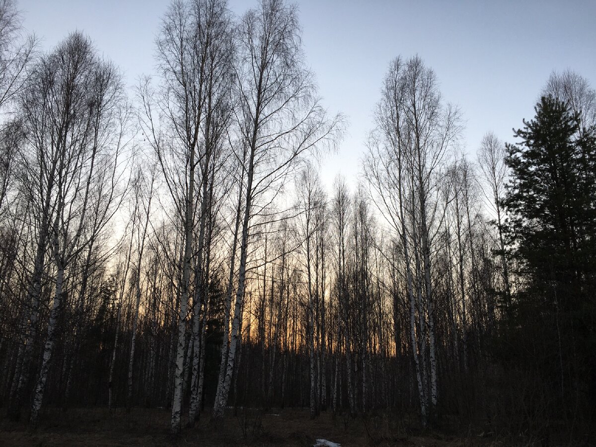 Место 1. Фото первого дня