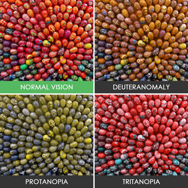 Как видит дальтоник и обычный. Дальтонизм протанопия. Дальтонизм дейтераномалия. Мир глазами дальтоника протанопия. Дальтонизм дейтеранопия.