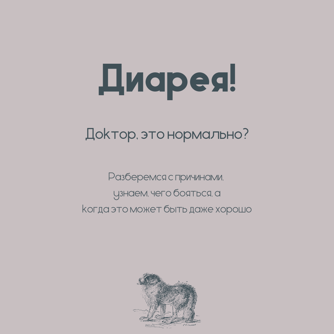 Переход на другой вид корма может сопровождаться у собаки диареей. Но это нормально!
