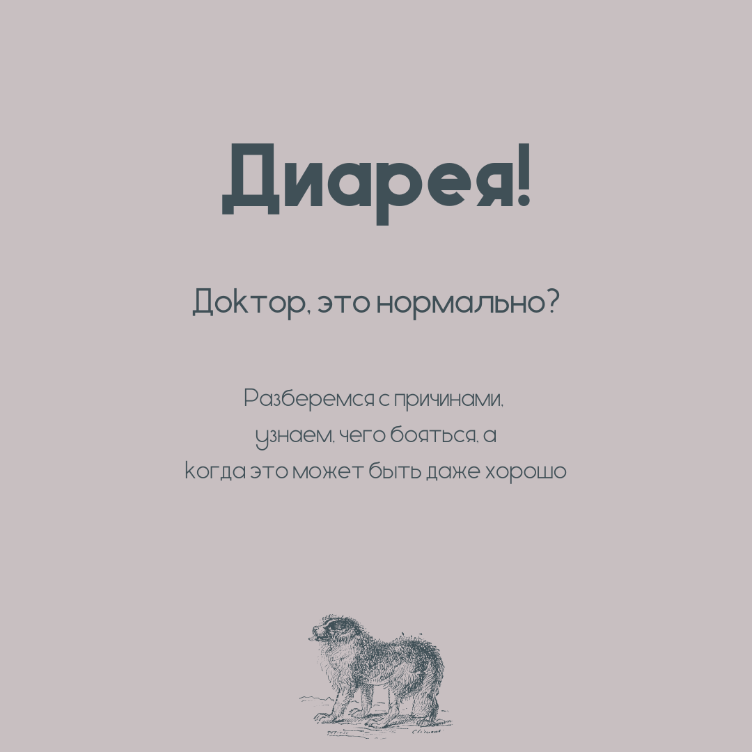 Лекарства, препараты от поноса для собак, какое дать? | Обзор от экспертов АВЗ