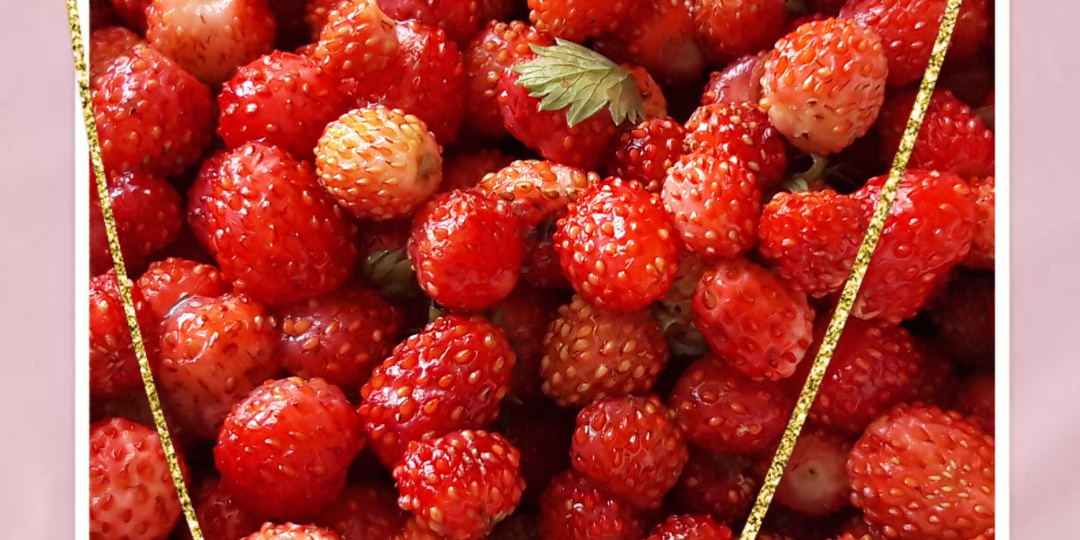 Начало положено!