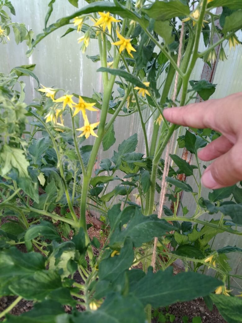 Личное фото.