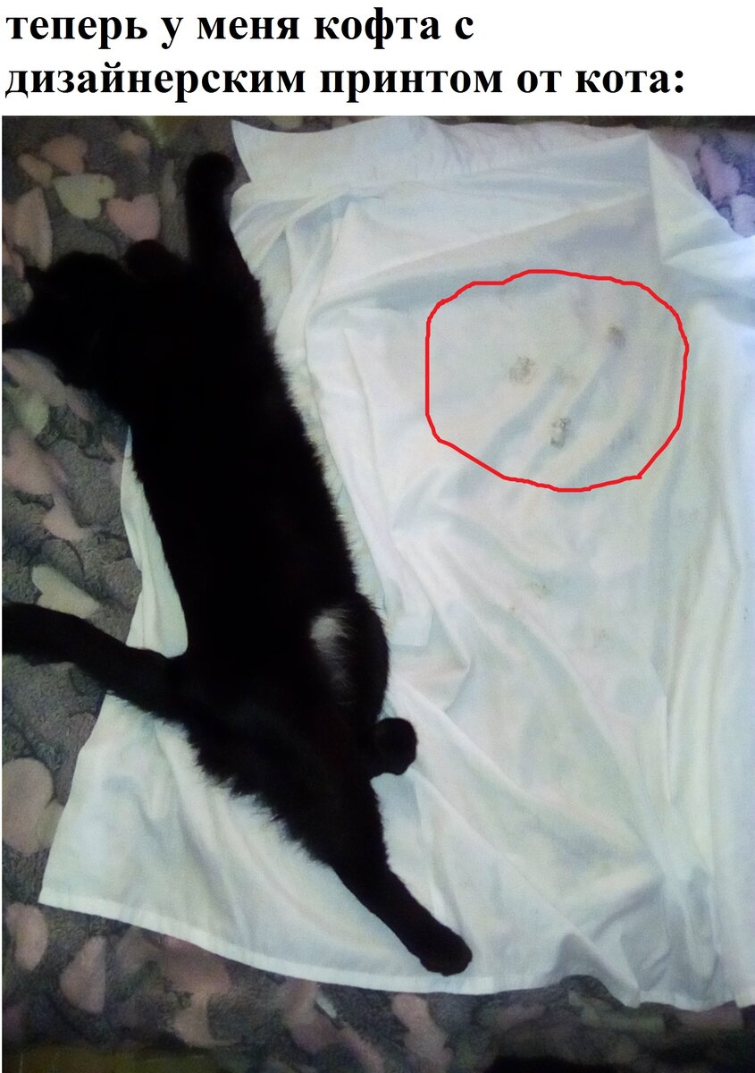 вытереть лапы лучше всего о новую  рубашку!