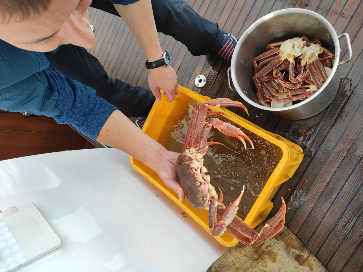 Что можно поймать на удочку в Тихом океане. Показываю улов за час ...