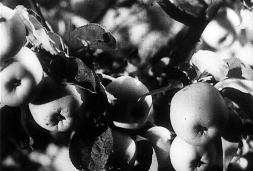 Кадр из фильма