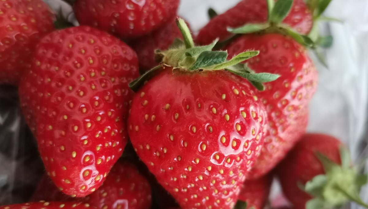 Спелая клубника