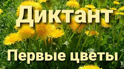 Идеи на тему «МАСТЕР-КЛАСС Большие цветы» (27) | большие цветы, цветы, мастер-класс