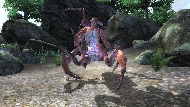 Сухопутный дреуг