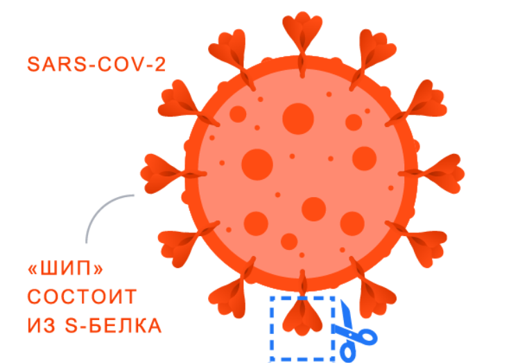 Картинка с официального сайта: sputnikvaccine.com