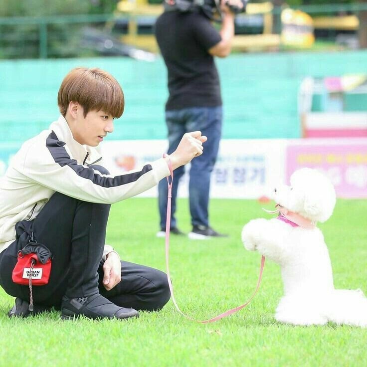 Run BTS. Куки вытренировал пушистого партнера...