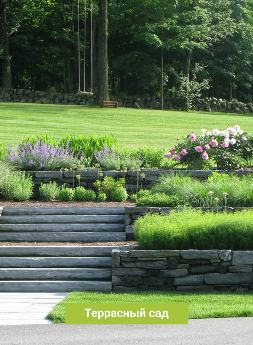 Геопластика амфитеатр. Благоустройство склона. Джон вайдман ландшафтный дизайнер. Подпорная стенка сады возрождения италия. Террасирование альпийской горки.