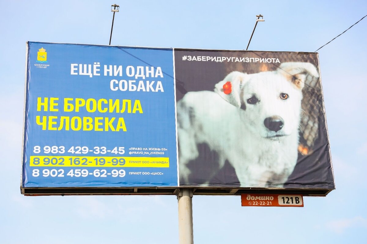 Вот такая реклама теперь в нашем городе