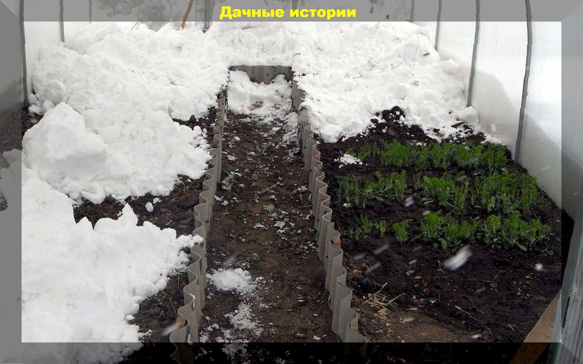 https://vk.com/photo-159774511_457252117