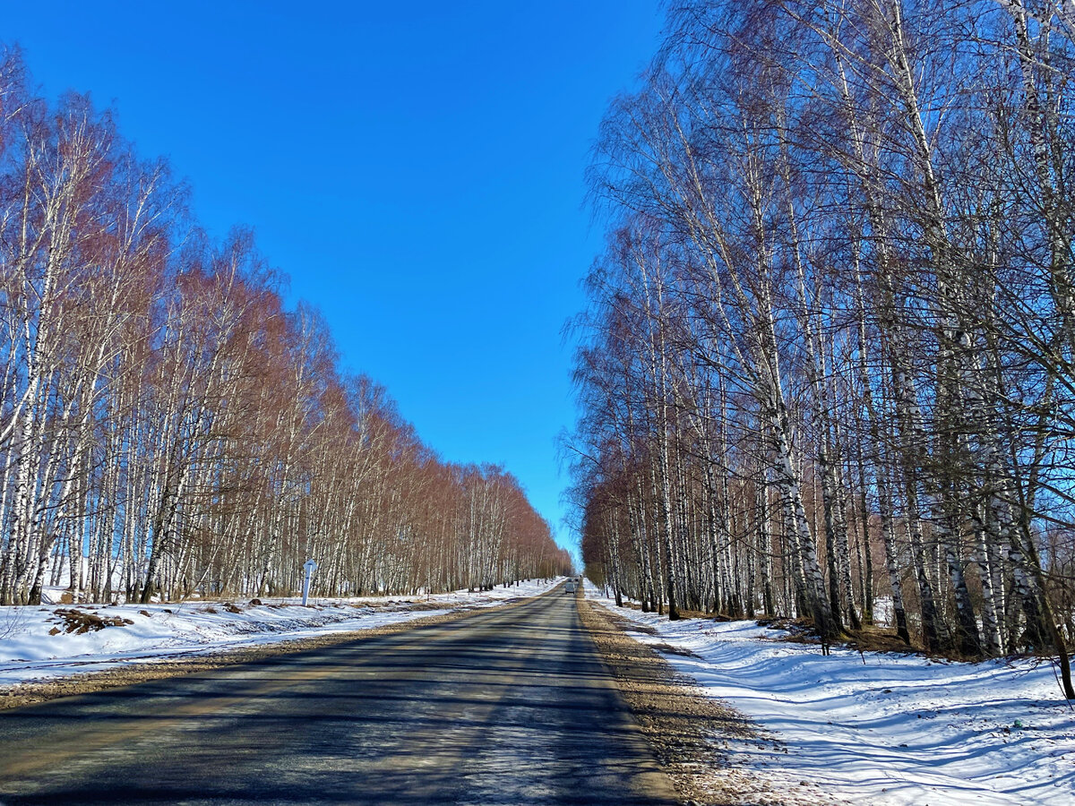 Как укрепить дорогу бревнами