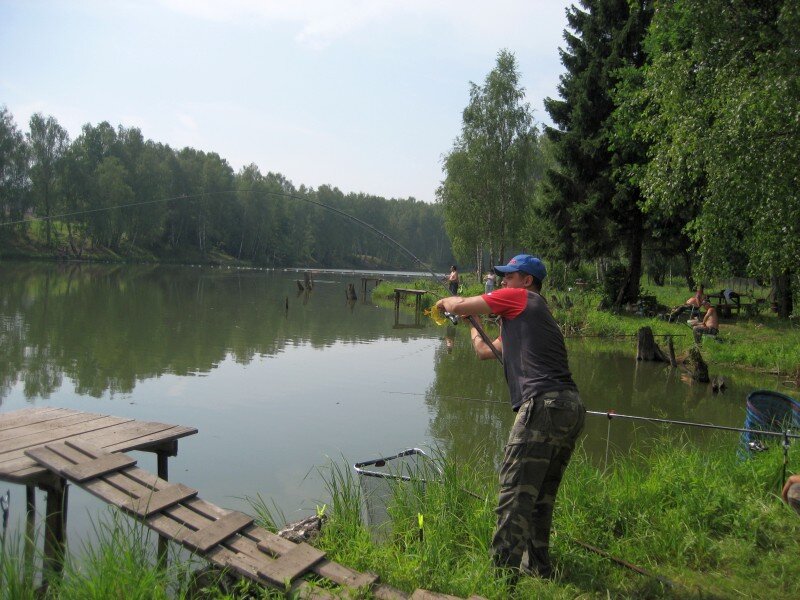 Платная рыбалка в подмосковье. Платные пруды Подмосковья. Платные водоёмы для рыбалки. Платное озеро для рыбалки.