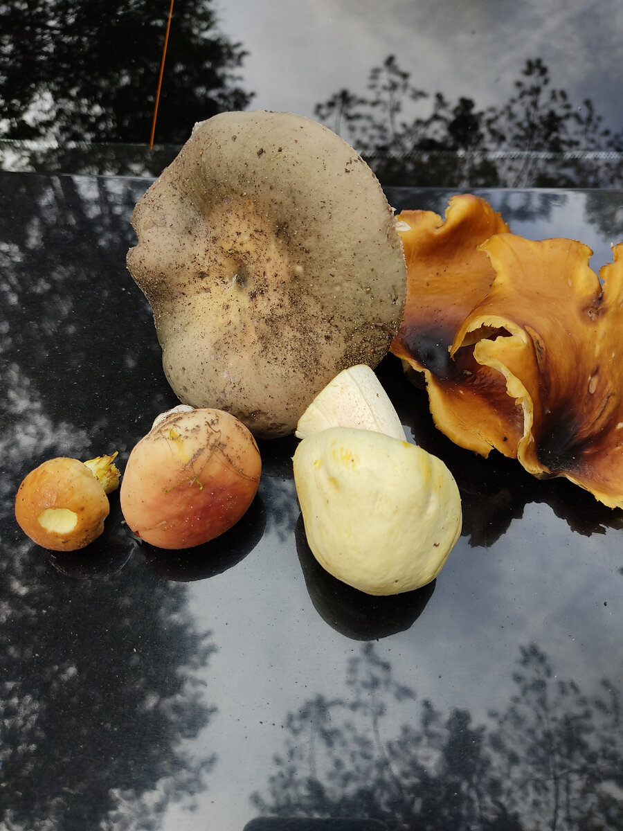 Фото автора.