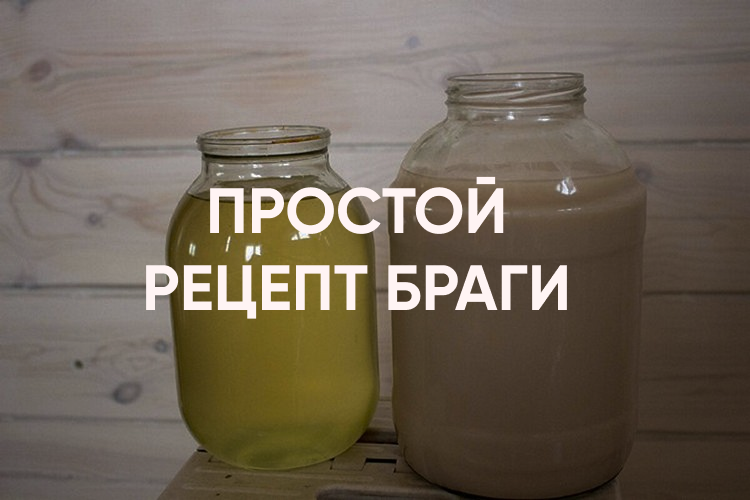 Рецепты приготовления браги