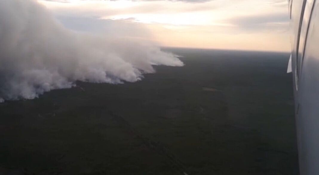    Скриншот из видео пресс-службы ГУ МЧС по Рязанской области