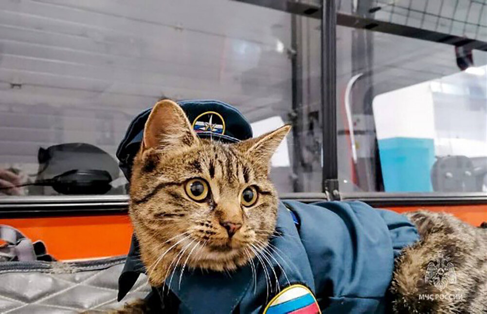     Фото: МЧС по Сахалинской области