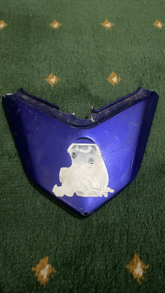 Кстати, на следующем перегоне этот кусок пластика благополучно улетел куда-то в степь...