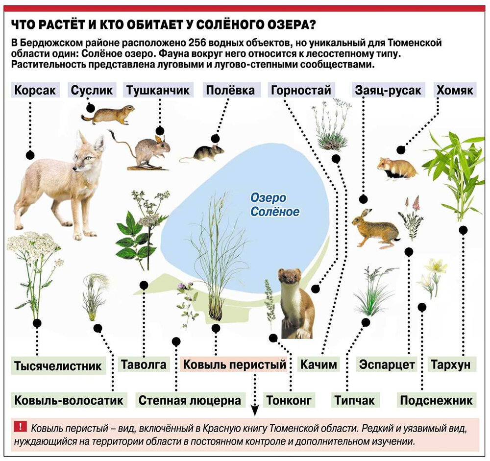    Нажмите для увеличения