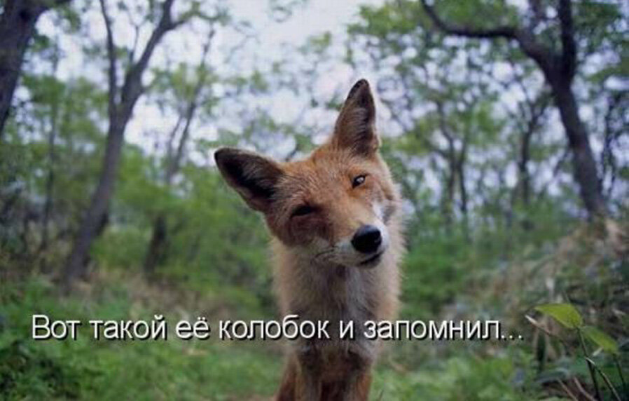 Как некоторые дамы продвигаются в Дзен