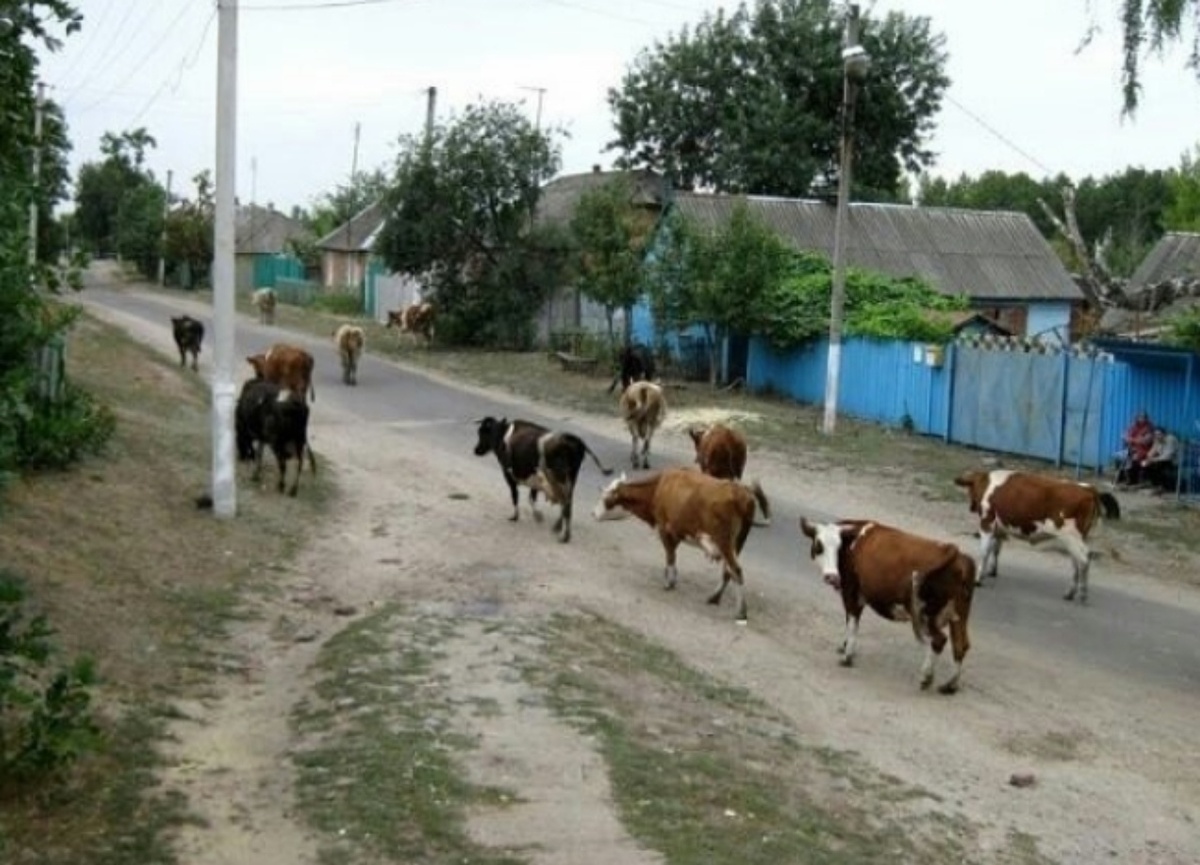Мне понравилось это фото из социальной сети.