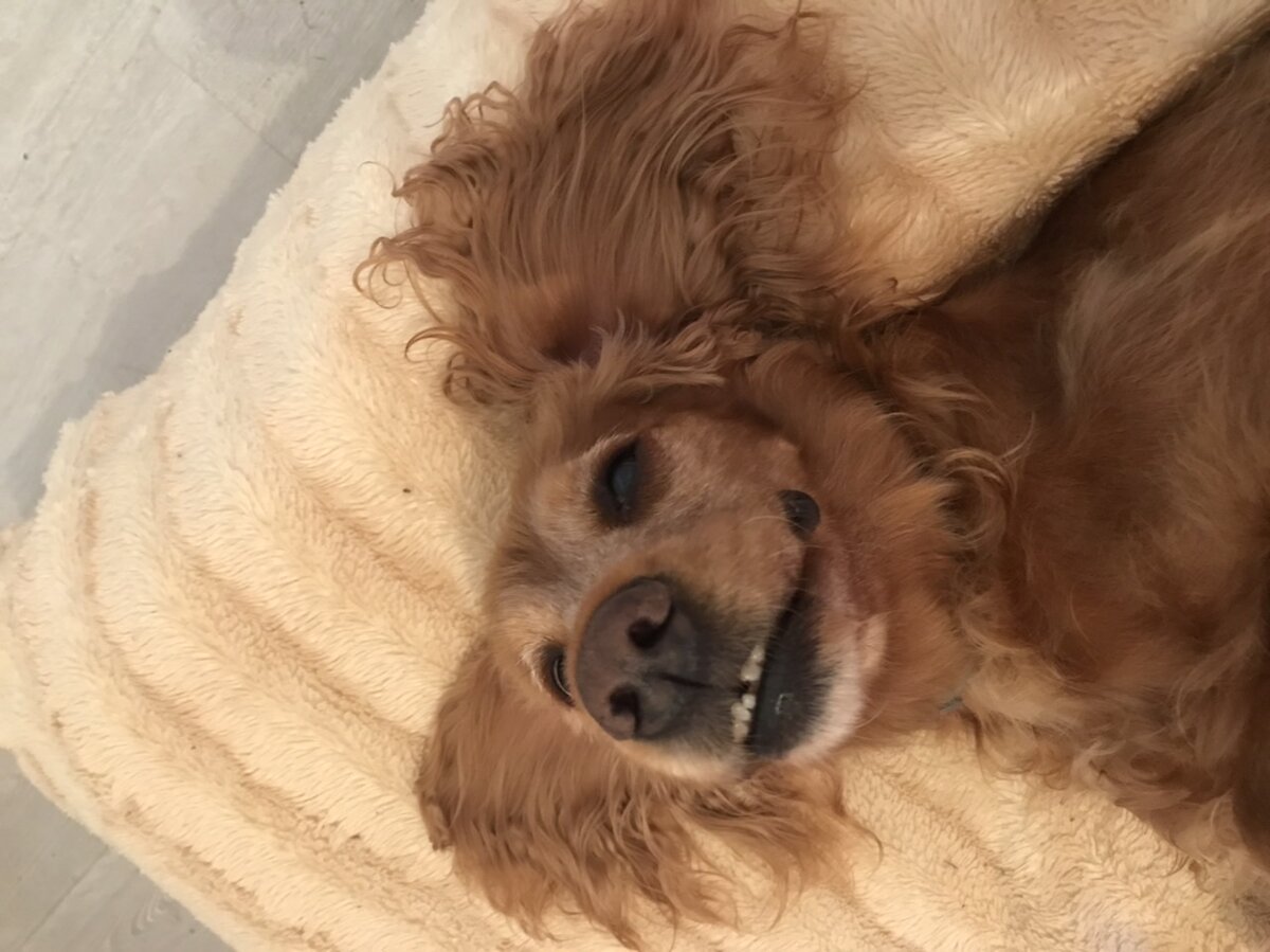 фото автора, Джулия