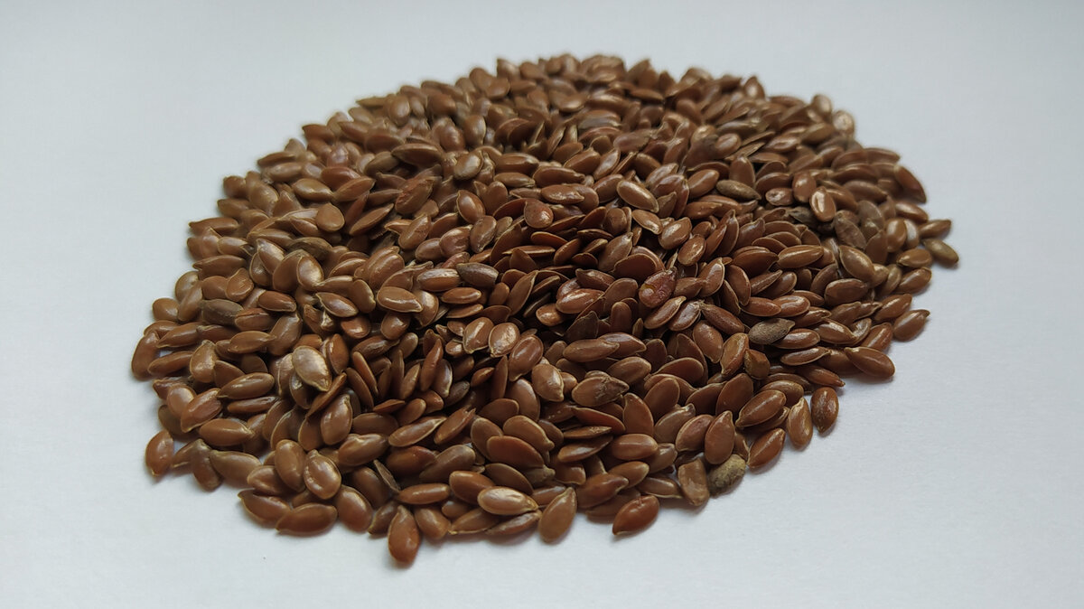 фото  автора