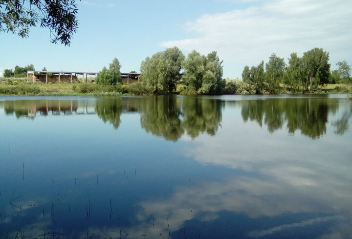 nadegdino.ru