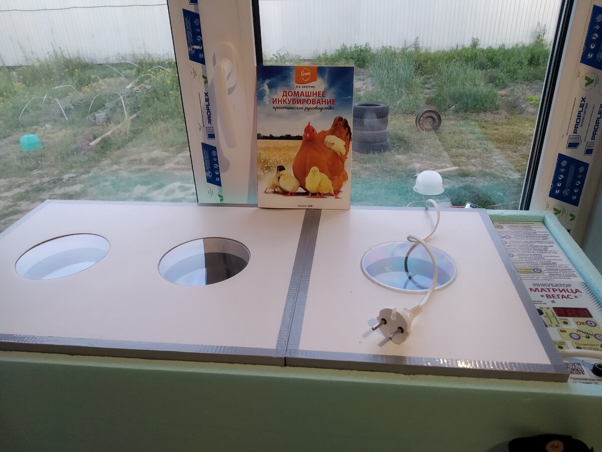 Инкубатор матрицавегас