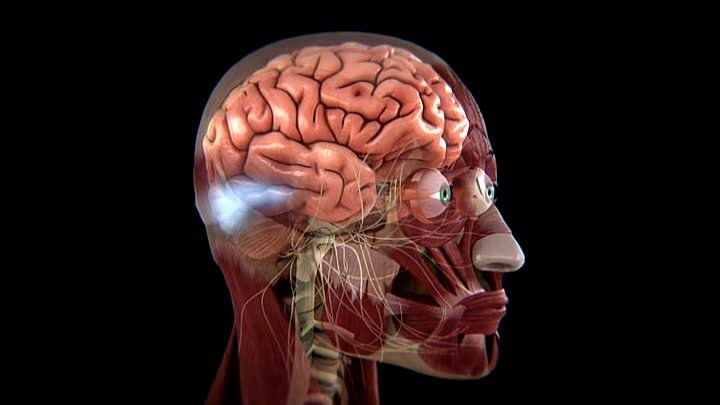 Кадр из первой серии "Зрение". Источник - Яндекс.Картинки