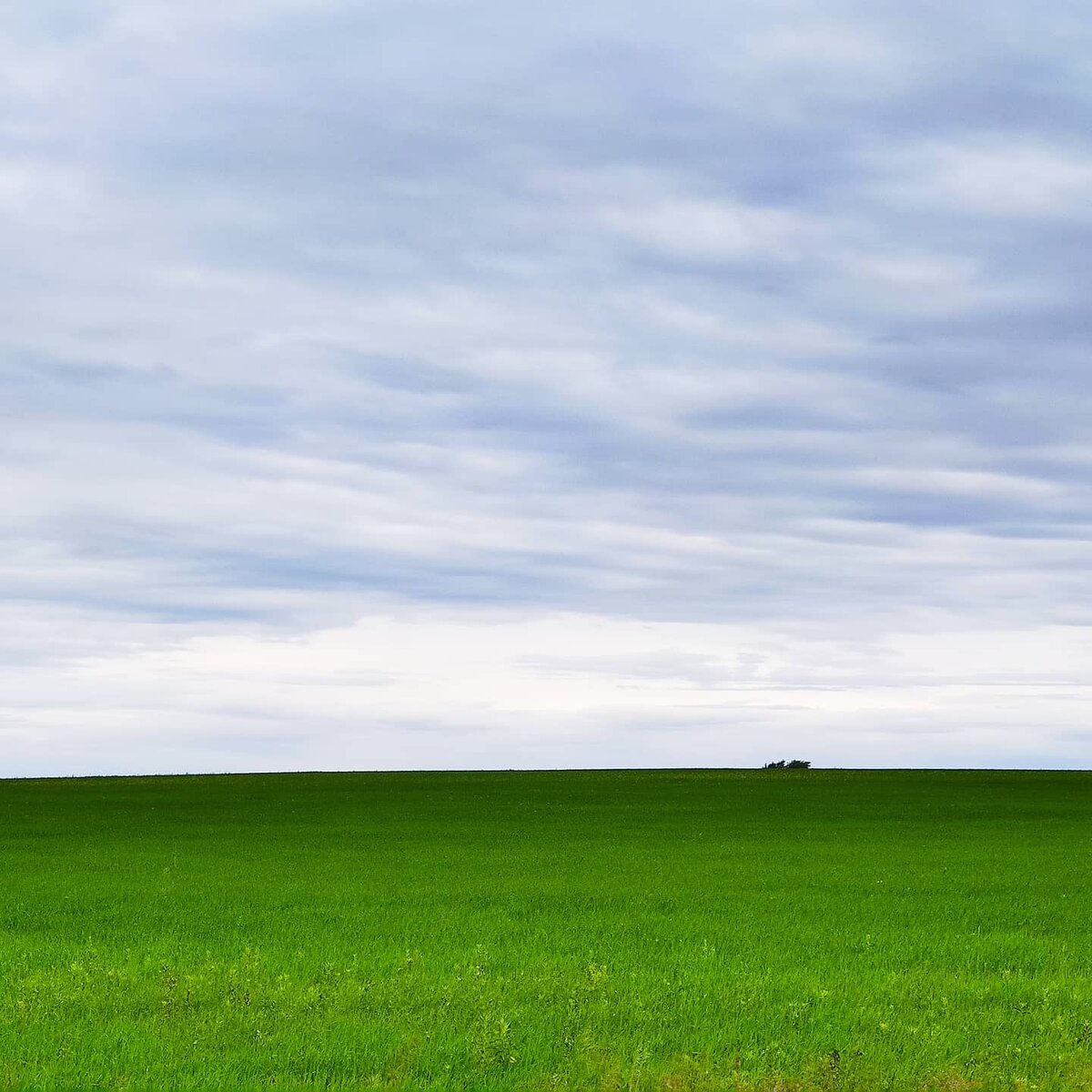 Фото Лиана Романова. 