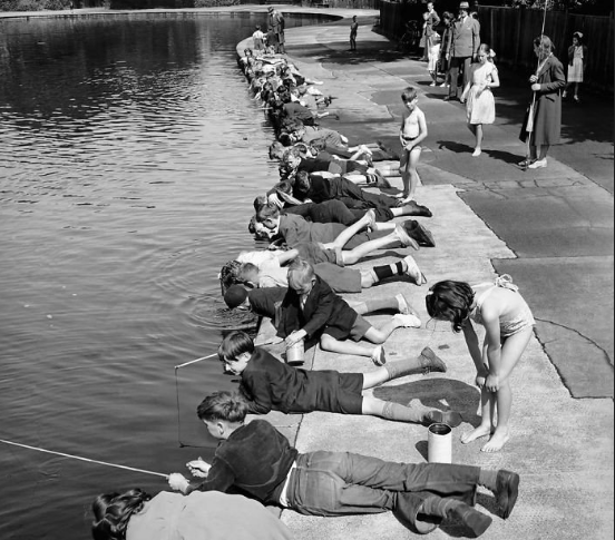 фото из https://vk.com/bookmarks?z=photo