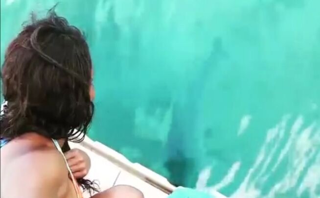 Момент падения