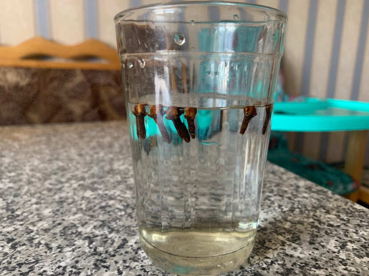 Качественная гвоздика👍 