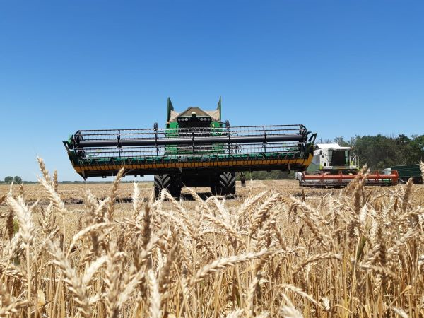 ЖАтва в разгаре