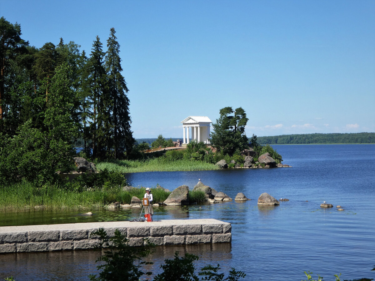парк монрепо старые